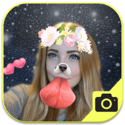 ikon Face Camera Stickers