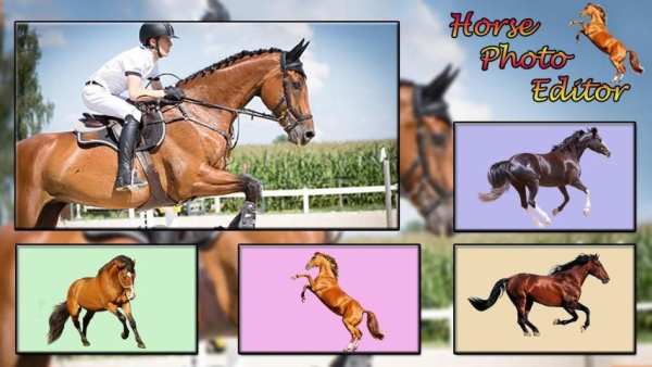 Horse Photo Editor screenshot 4