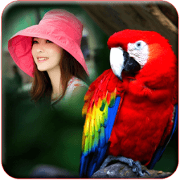 Birds Photo Frames иконка