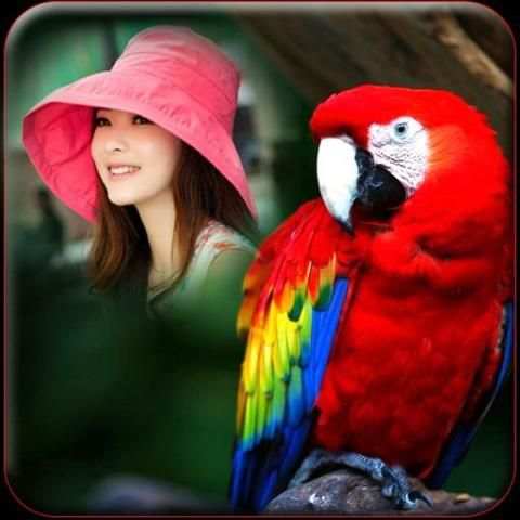 Birds Photo Frames स्क्रीनशॉट 1