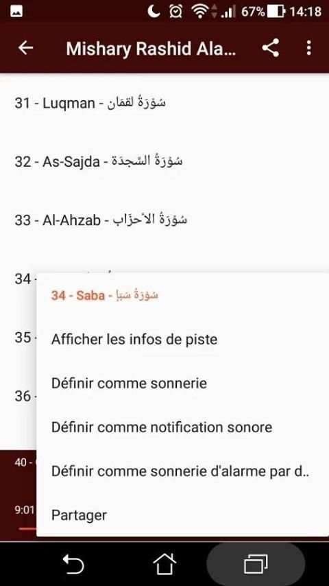 Mishary Rashed Alafasy Quran Full offline screenshot 2