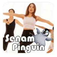 Video Senam Pinguin