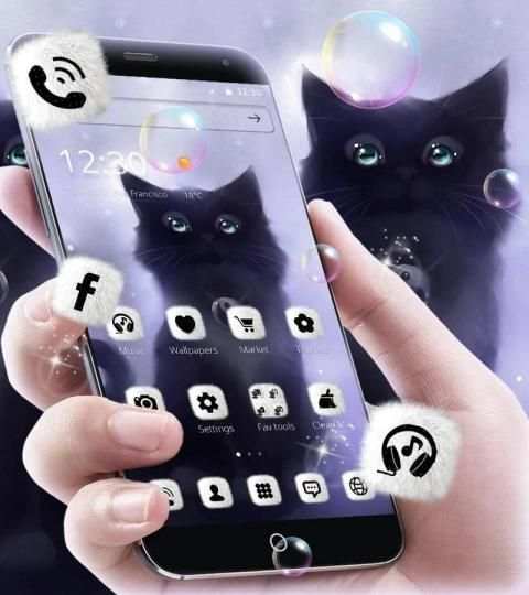Fluffy kitty Tema Wallpaper kucing screenshot 3