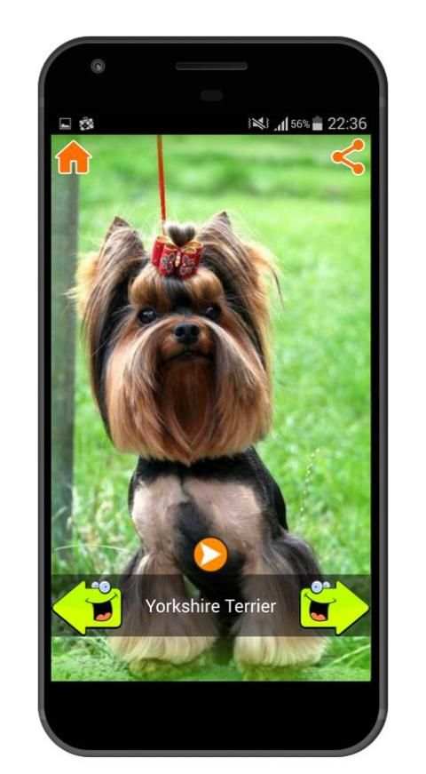 Best Dog Sounds 2 تصوير الشاشة