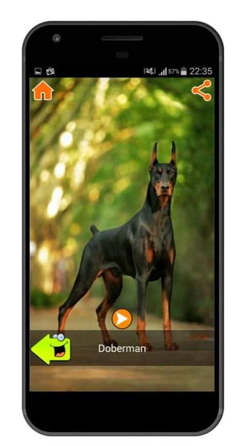 Best Dog Sounds 3 تصوير الشاشة