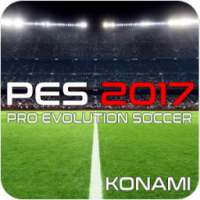 GUIDE PES 2017