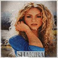 Shakira Waka Waka on 9Apps