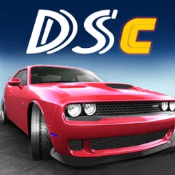 Driving Speed Car أيقونة