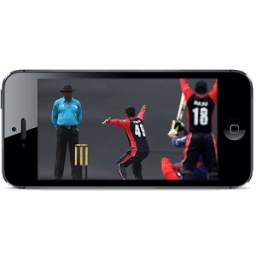Cricket Buzz 1.0.3