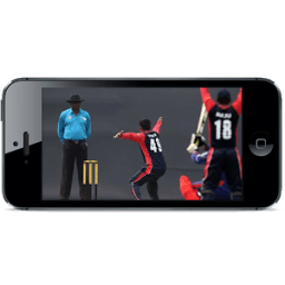 ikon Cricket Buzz Live