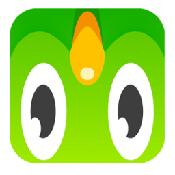 Pro Languages Duolingo Learning иконка