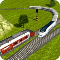 Real Indian Train Driver