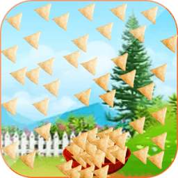 Motu Samosa Catcher 1.0.1