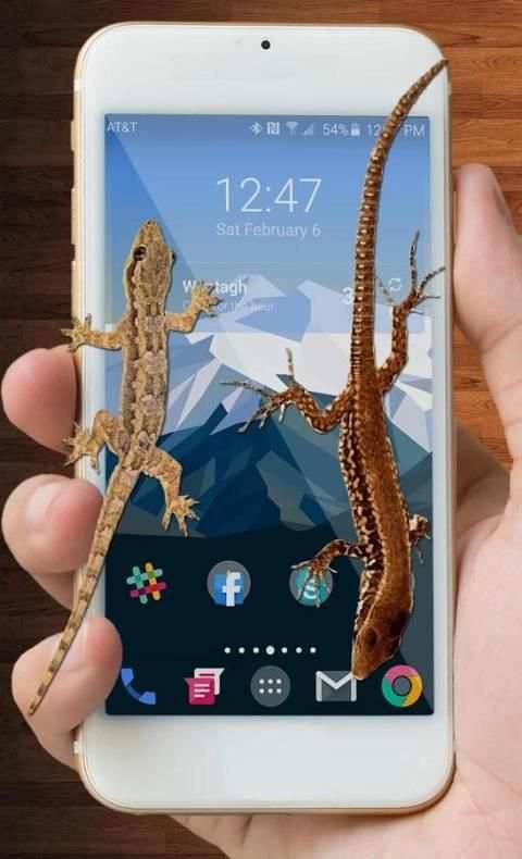 Lizard On Screen स्क्रीनशॉट 3