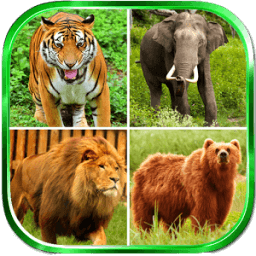 Animal Sounds आइकन