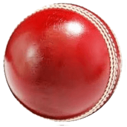 Cricket Buzz Live Cricket icon