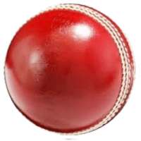 Cricket Buzz Live Cricket