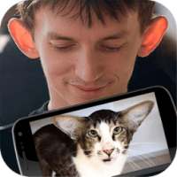 Face Scanner: Cat by Photo