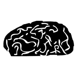 Gênio Quiz 9 أيقونة