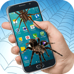 Паук на экране Магический паук в телефонном иконка
