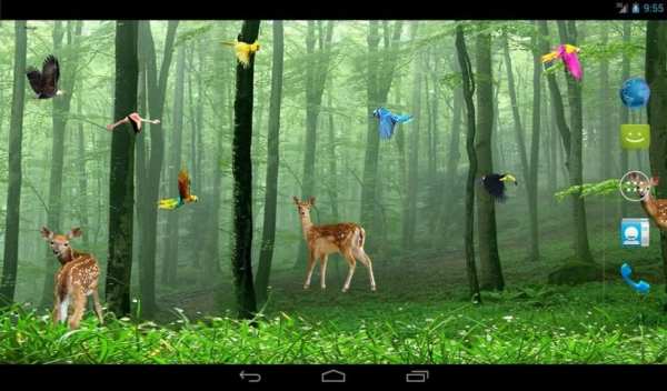 Rain Forest Live Wallpaper 2 تصوير الشاشة