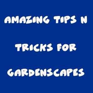 Guide for GardenScapes скриншот 1
