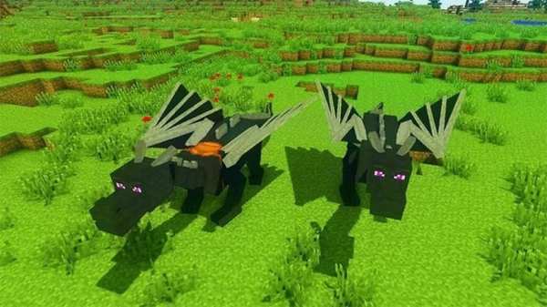 Dragon Mods For Minecraft screenshot 1