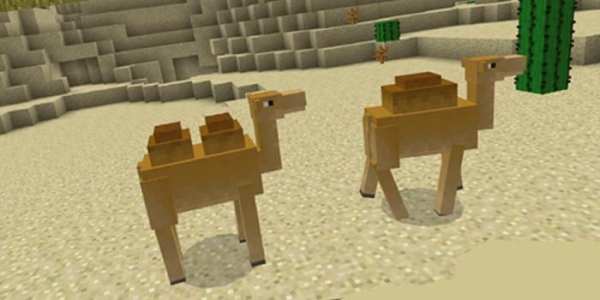 Animals for Minecraftt PE screenshot 1