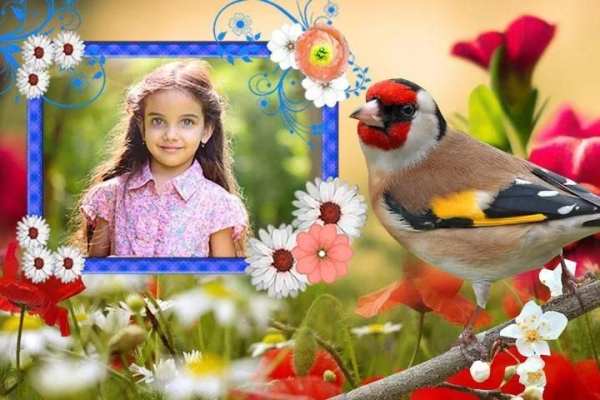 Birds Photo Frames स्क्रीनशॉट 2
