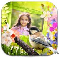 Birds Photo Frames