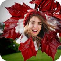 Leaf Photo Editor on 9Apps