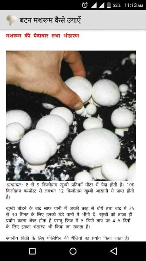 बटन मशरूम कैसे उगाऐं 1 تصوير الشاشة