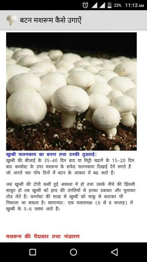 बटन मशरूम कैसे उगाऐं 3 تصوير الشاشة