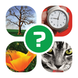 ikon 4 Pics 1 Word: Renaissance