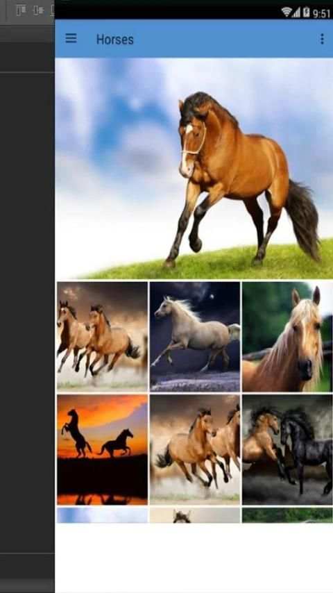Horse Wallpapers 2017 скриншот 2