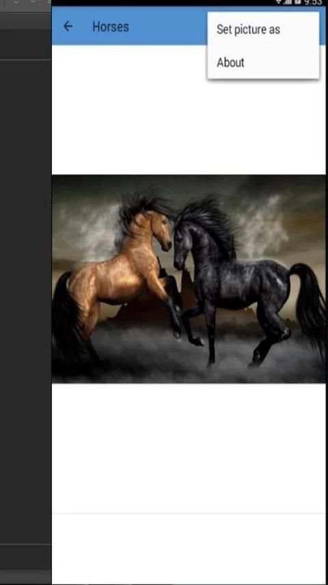 Horse Wallpapers 2017 скриншот 1
