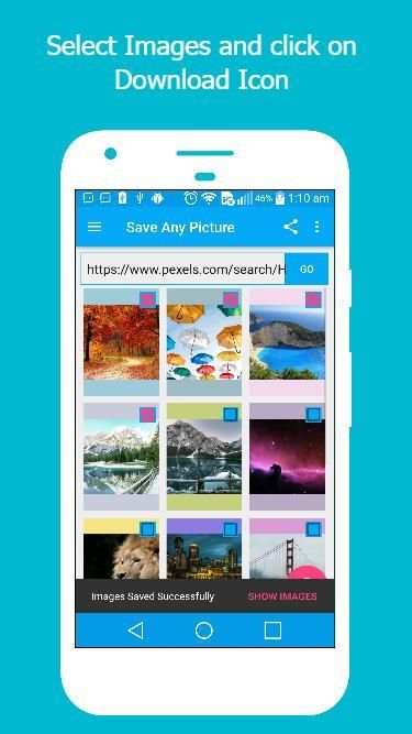 Save Any Picture скриншот 2
