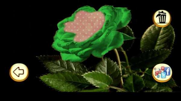 Photo Editor - Rose Photo स्क्रीनशॉट 1