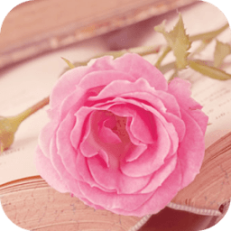 ikon AppLock Theme Pink Flower