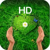 HD Live Wallpaper Free