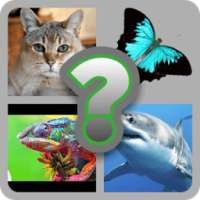 ANIMALS QUIZ HD 2017