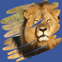 Scratch And Guess أيقونة