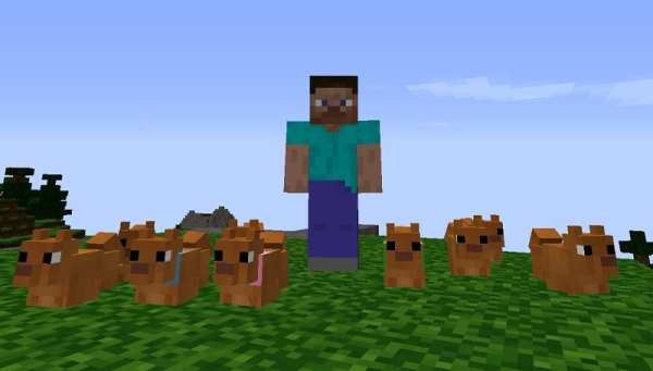 Mod Dog screenshot 3