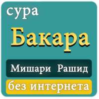 сура Бакара - Мишари Рашид мп3 on 9Apps