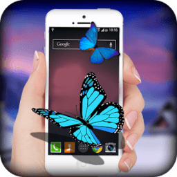 ikon Butterfly on Screen : Real 3D Butterfly in Screen