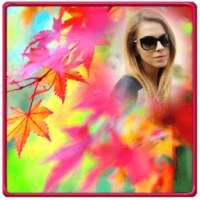 Autumn Photo Frames on 9Apps