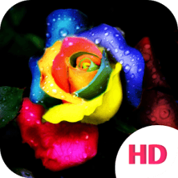 HD Wallpaper أيقونة