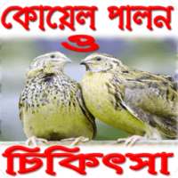 কোয়েল পালন ও চিকিৎসা on 9Apps