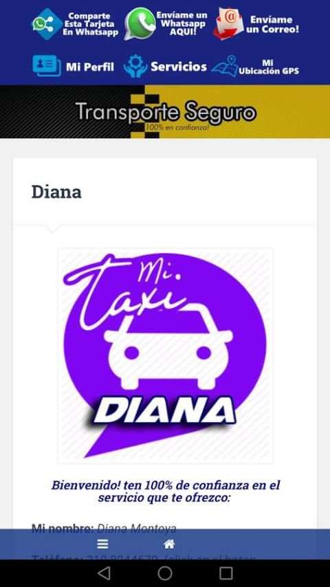Taxi Diana screenshot 3
