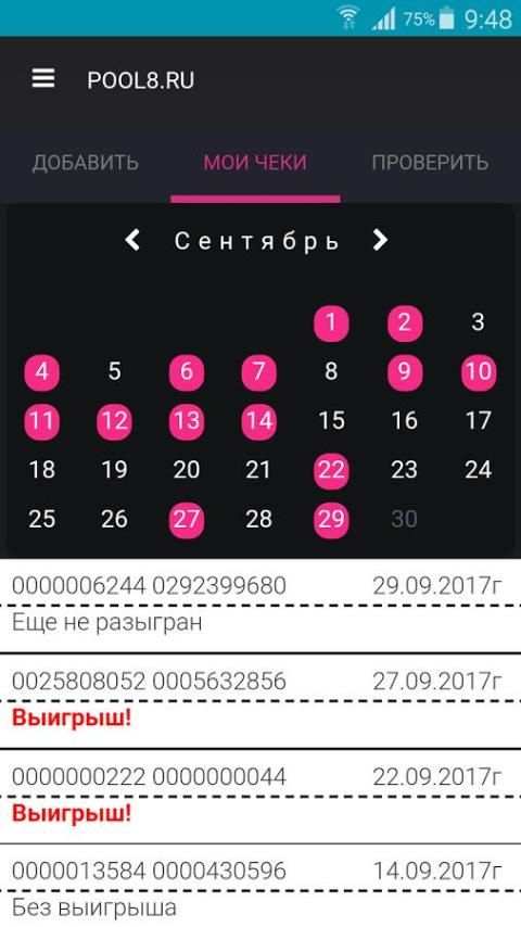 pool8.ru screenshot 4